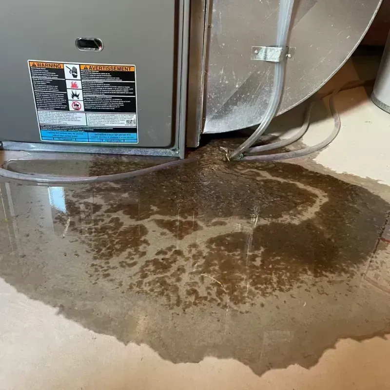 Appliance Leak Cleanup in Cecilia, LA